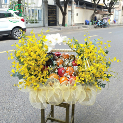 Giỏ trái cây chúc mừng mẫu 23