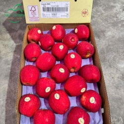 Táo Envy Nhập Khẩu