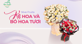 Top 5 lý do nên chọn sản phẩm của chúng tôi