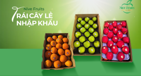 Kiến Thức Trái Cây Nice Fruits - Ăn Đúng Mùa, Khỏe Đúng Cách Tại Nhà