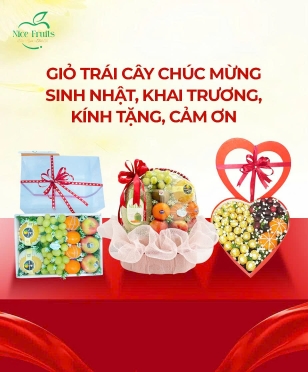 Giỏ hoa trái cây chúc mừng, khai trương, kính tặng