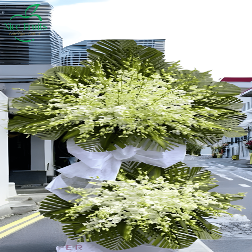 Kệ Hoa Khai Trương 2 Tầng Lan Dendro Trắng Xanh