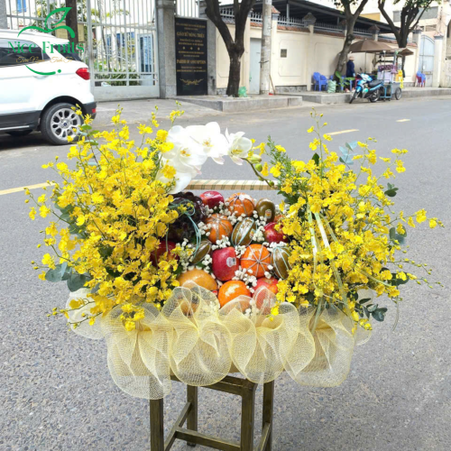 Giỏ trái cây chúc mừng mẫu 23