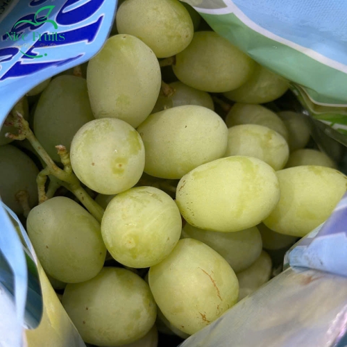 Nho mẫu đơn xanh nhập khẩu