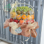 Giỏ Trái Cây Hội Nghị Khách Hàng - NI223